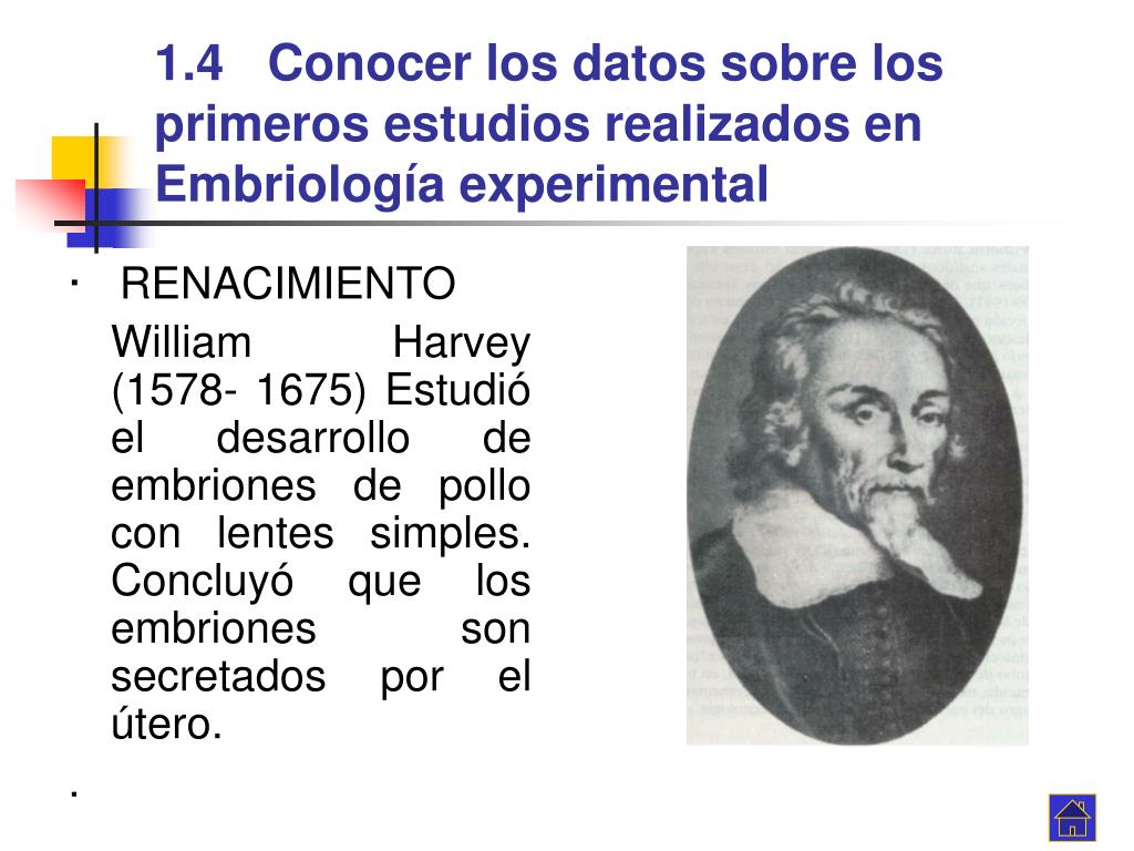 PPT - Tema 1. Historia e Importancia de la Embriología PowerPoint  Presentation - ID:928648