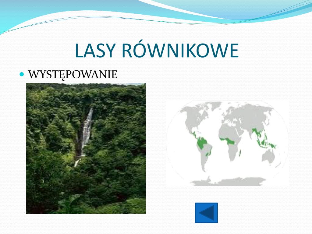 Wiecznie Zielone Lasy Równikowe PPT - WILGOTNE LASY RÓWNIKOWE PowerPoint Presentation, free download
