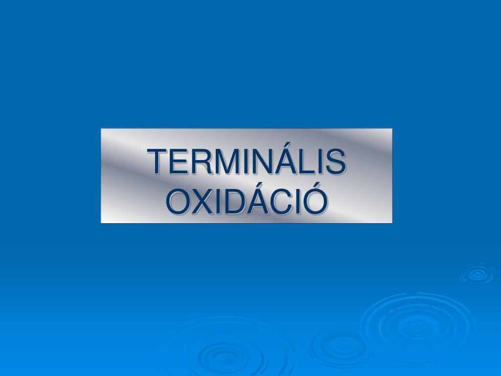 PPT - TERMINÁLIS OXIDÁCIÓ PowerPoint Presentation, free download - ID:929184