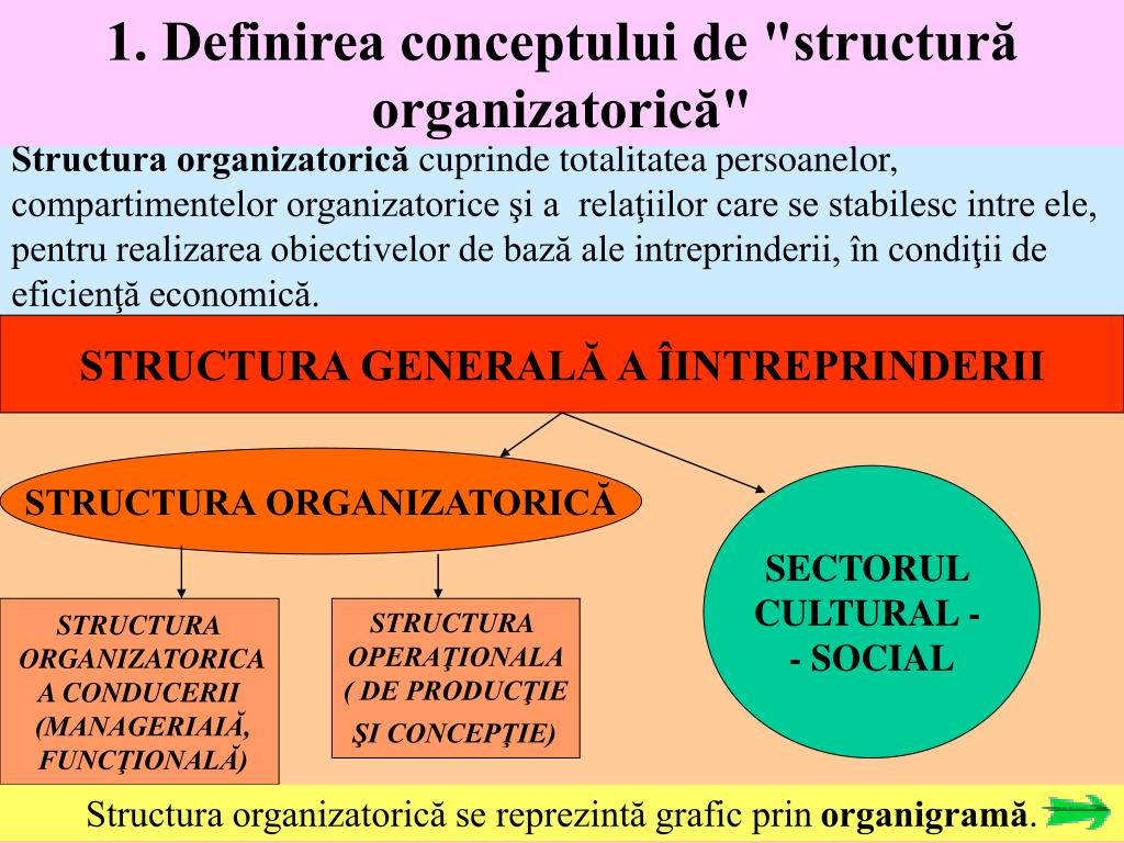 PPT - ORGANIZAREA STRUCTURALĂ PowerPoint Presentation, free download -  ID:929917