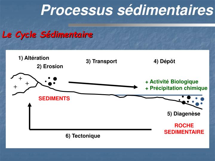 PPT 1) INTRODUCTION 2) DESCRIPTION DES PROCESSUS SEDIMENTAIRES