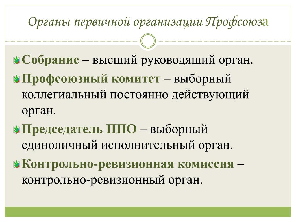 Профсоюзной организации органа представляющего. Орган первичной профсоюзной организации это. Выборный орган первичной профсоюзной организации это. Председатель первичной профсоюзной организации. Организация профсоюза в органах.