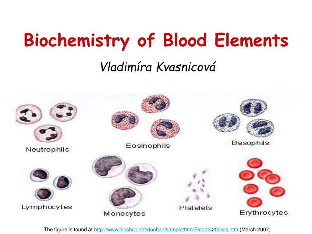 Element count. Blood Biochemistry. Formed elements of Blood. Blood Biochemistry рисунок. Blood Biochemistry pdf.