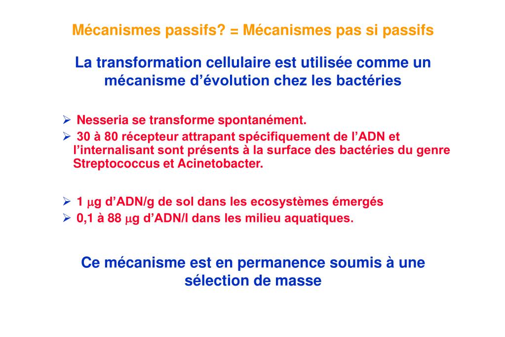 Expliquer Les Mécanismes Qui Permettent D'enrichir Le Génome Des Eucaryotes