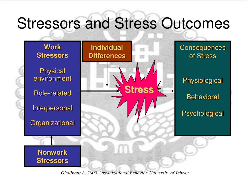 Level 3: Organizational Stressors