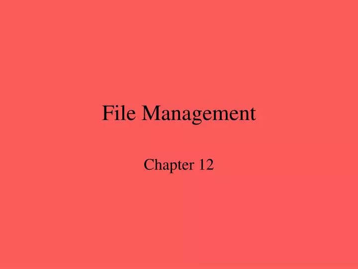 file management n.