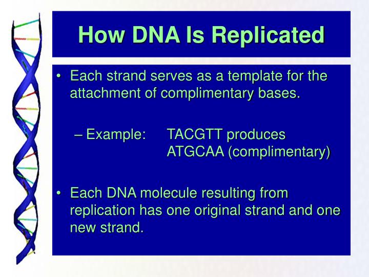 how dna is used to exonerate Huntington - newly tested dna evidence would exonerate some men convicted in the 2002 murder of 21-year-old deanna l crawford and might instead point to someone who has a history. how dna is used to exonerate Huntington - newly tested dna evidence would exonerate some men convicted in the 2002 murder of 21-year-old deanna l crawford and might instead point to someone who has a history.