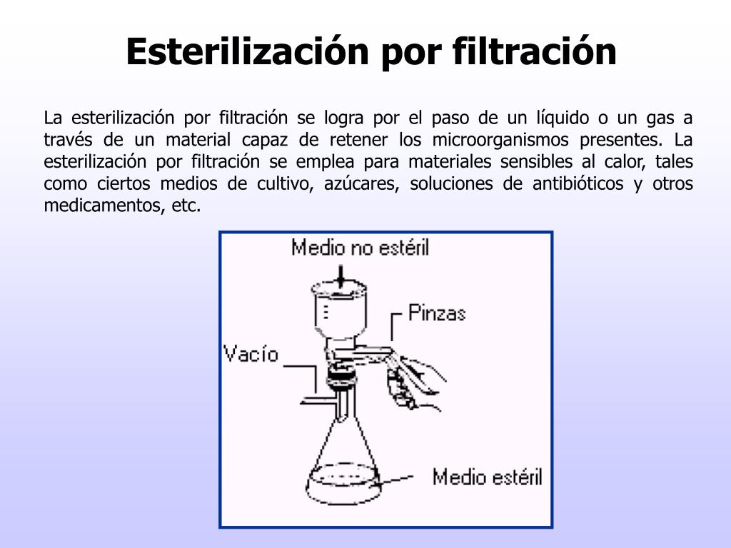 PPT - Microbiología General PowerPoint Presentation, free download -  ID:936442