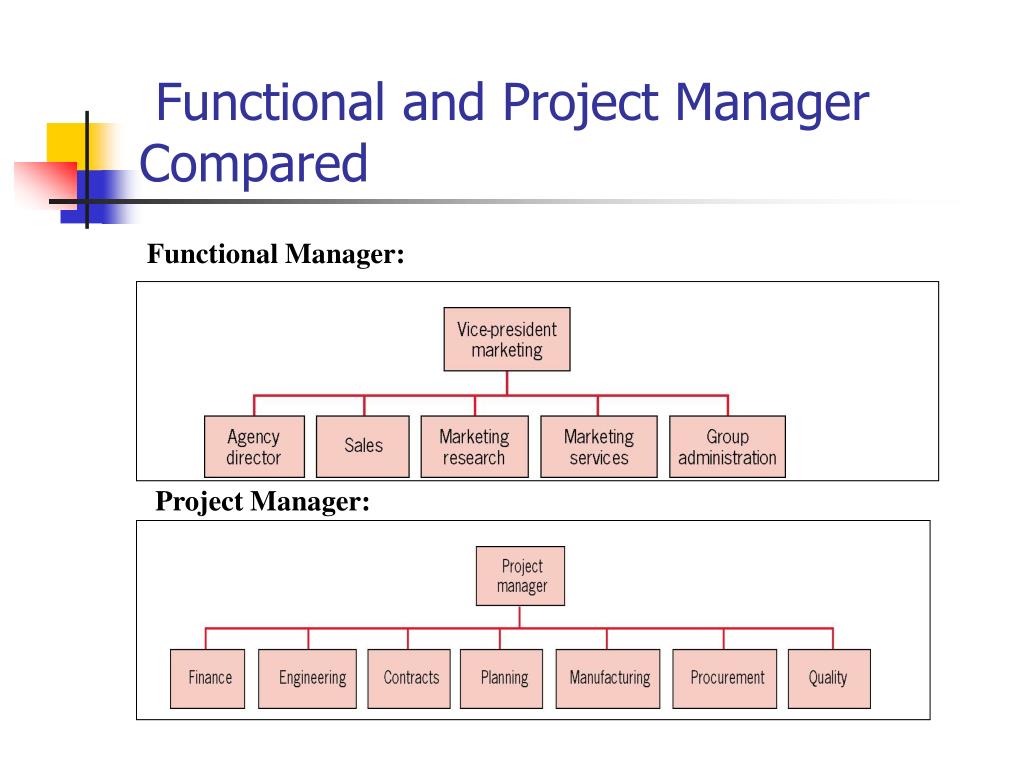 Менеджер проектов первый проект. Management functions. Concept of ppt. Board of Directors role in Project Management.