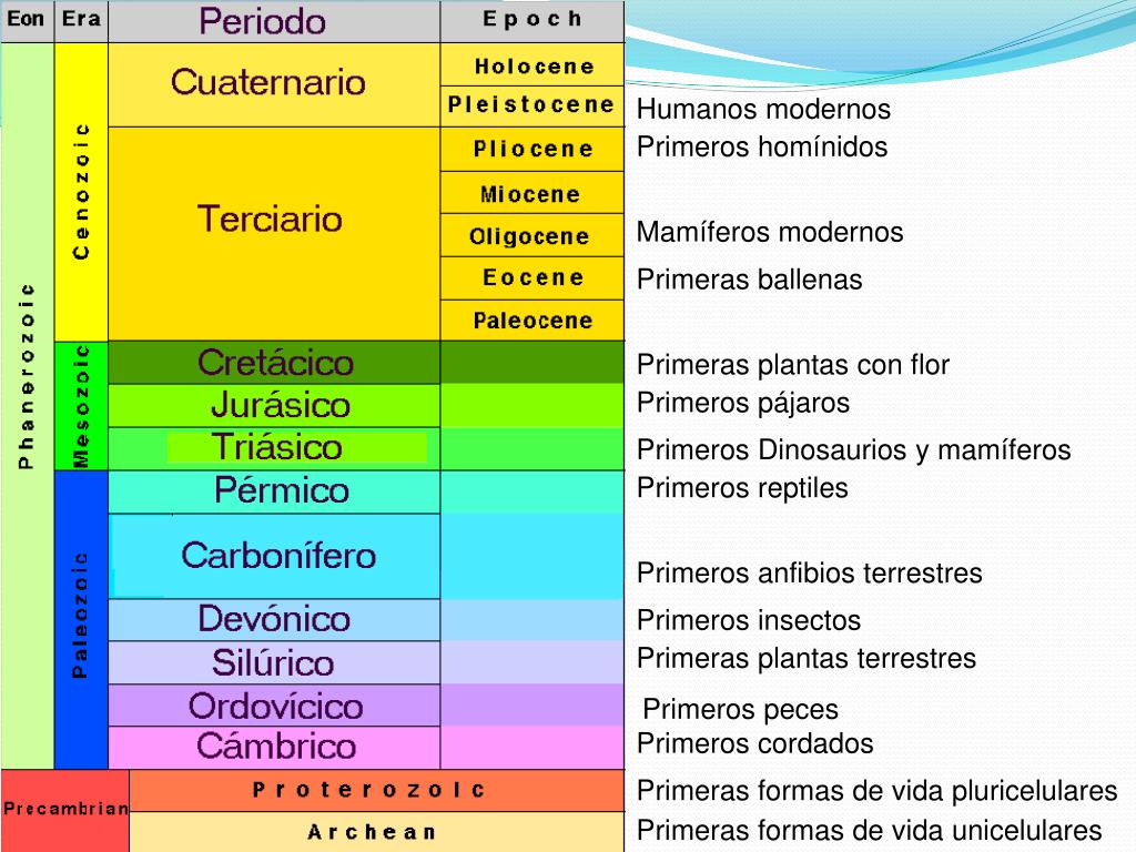 Eras Geol gicas Quais S o Caracter sticas Tabela HXRBF