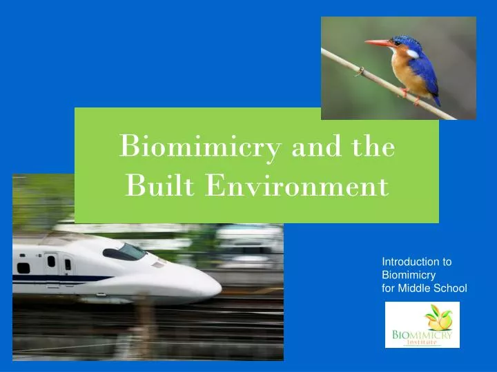 biomimicry and the built environment n.