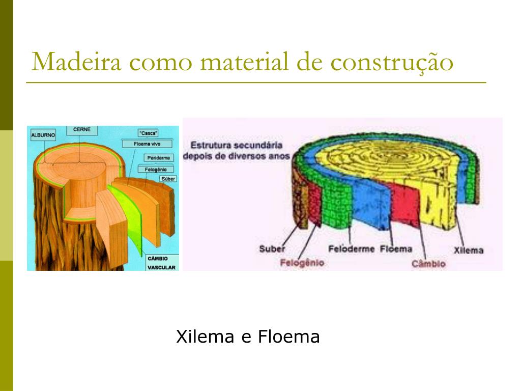 Madeira como material de construção - ppt carregar