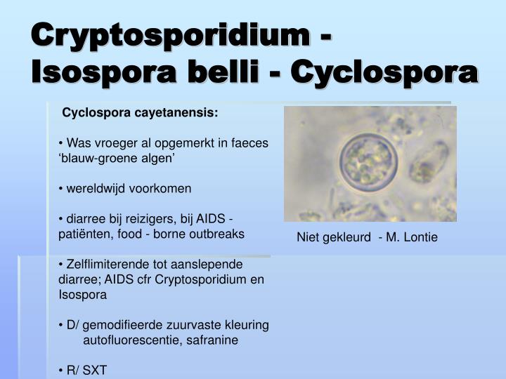 ppt-cat-opsporen-van-parasieten-in-faeces-wat-en-voor-wie