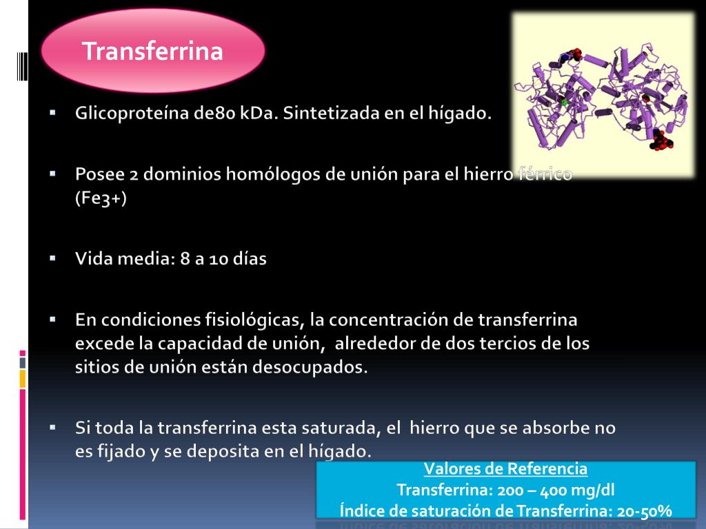 PPT - ferritina EN EL Estudio de anemias PowerPoint Presentation, free  download - ID:943643