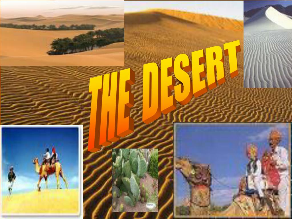 presentation of desert