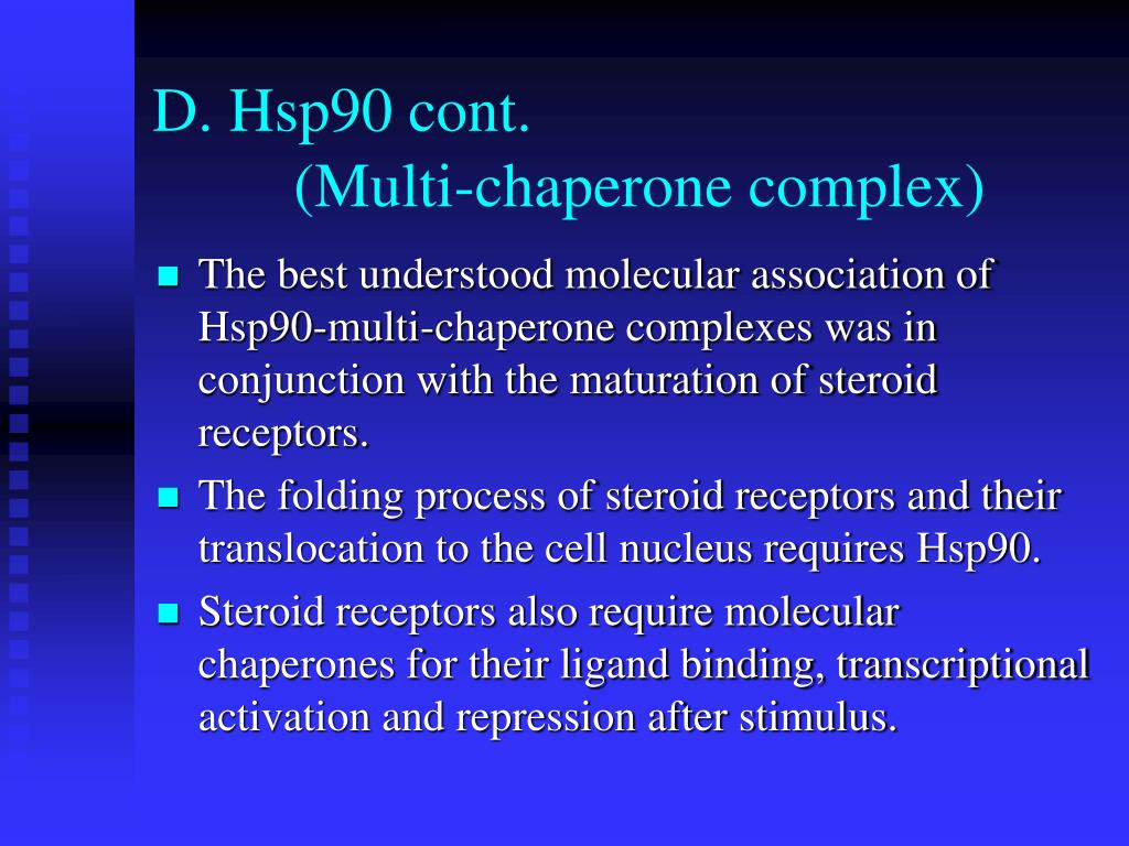 hsp90 a molecular chaperone hsp90 a molecular chaperone