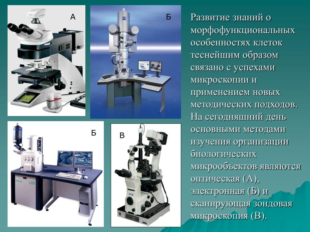 Какие методы используются для исследования клетки