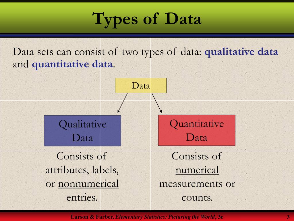 presentation of data types