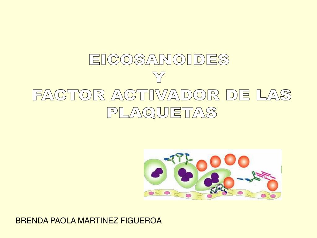 ¿Cómo actúa el factor activador de plaquetas PAF en la inflamación