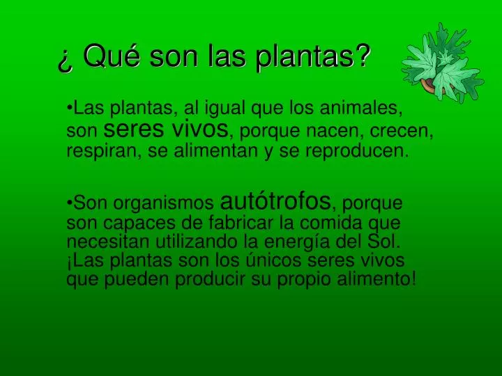 exilio emergencia desinfectar PPT - ¿ Qué son las plantas? PowerPoint Presentation, free download -  ID:954099