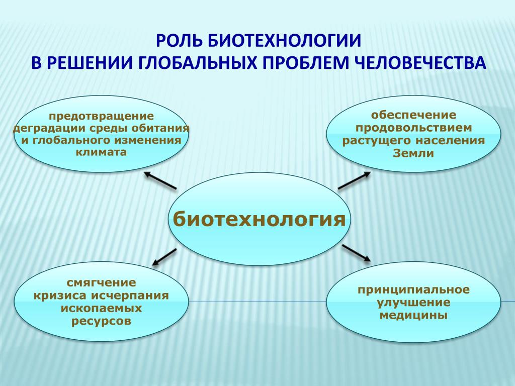 Какие проблемы решает генная инженерия. Биотехнология презентация. Презентация по биотехнологии. Роль биотехнологии в жизни человека. " Биотехнология " — презинтация.