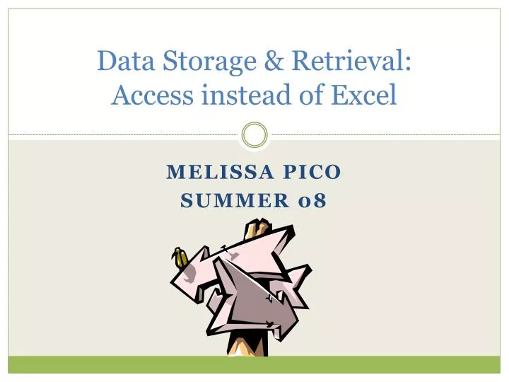 data storage retrieval access instead of excel n.