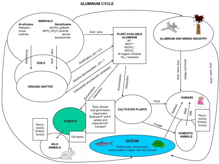 PPT - ALUMINUM CYCLE PowerPoint Presentation, free download - ID:960823