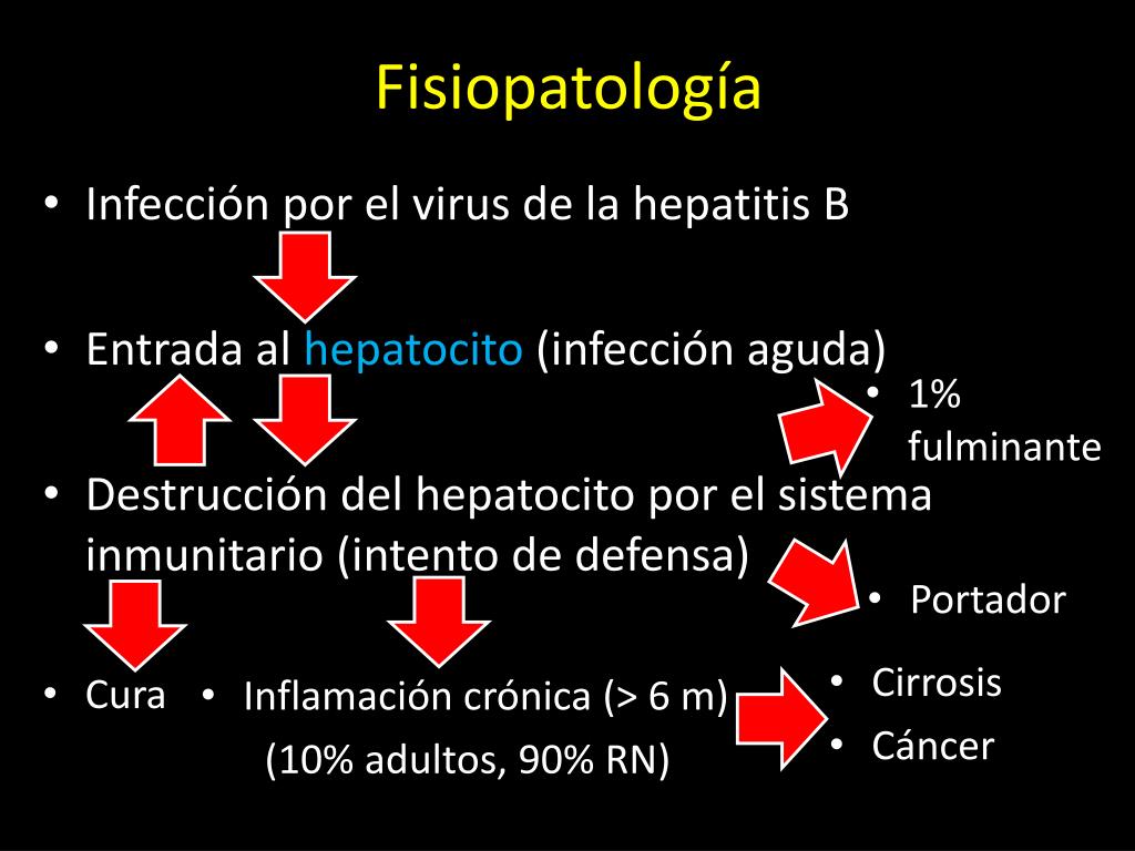 PPT HEPATITIS B PowerPoint Presentation Free Download ID