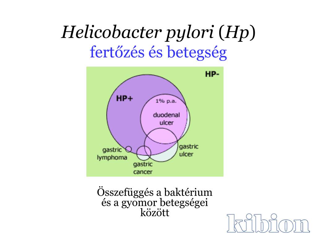 baktérium hp)