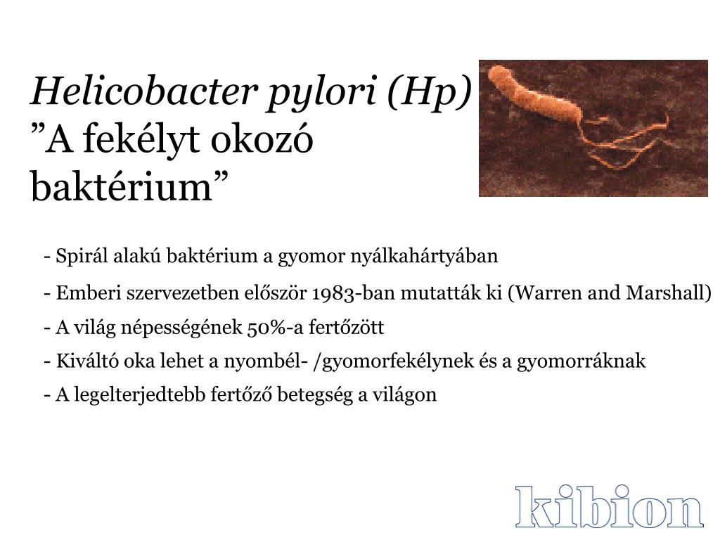 Helicobacter pylori antigén kimutatása székletből - SYNLAB
