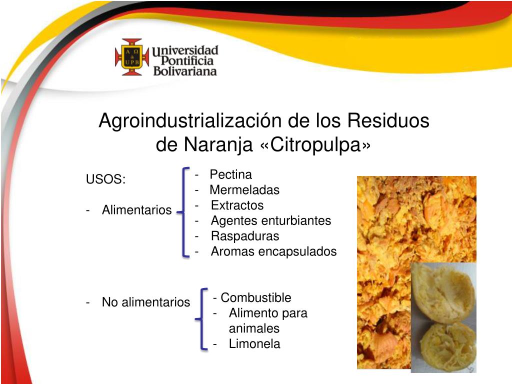 PPT - AGROINDUSTRIALIZACIÓN DE LOS RESIDUOS CÍTRICOS PRIMER CONGRESO ...