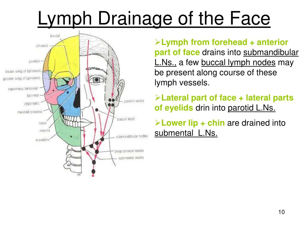 Lymph nodes in face jokerclick