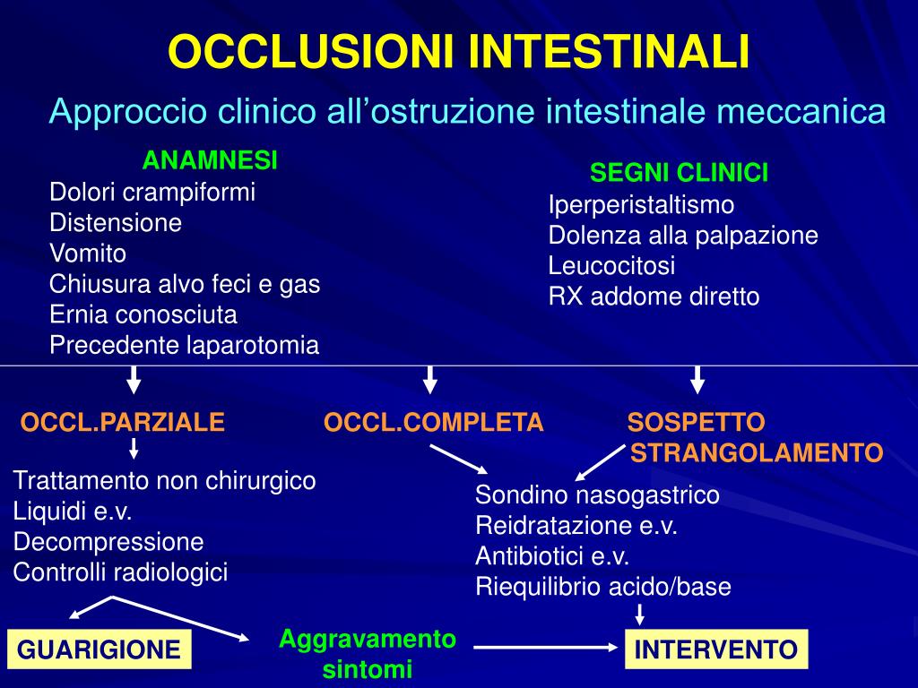 Differenza Tra Occlusione E Subocclusione Intestinale PPT - Le occlusioni intestinali PowerPoint Presentation, free download
