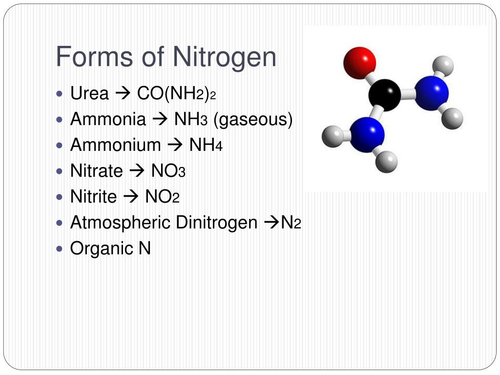 N2 nh3 t. Молекула nh3. Модель молекулы nh3. Презентация nitrogen Ammonia. Nh3 no2.