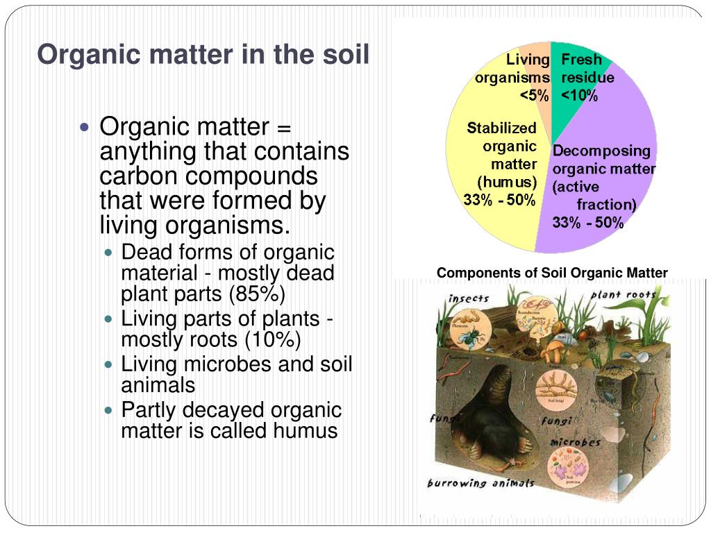 What Is Organic Matter Made Up Of