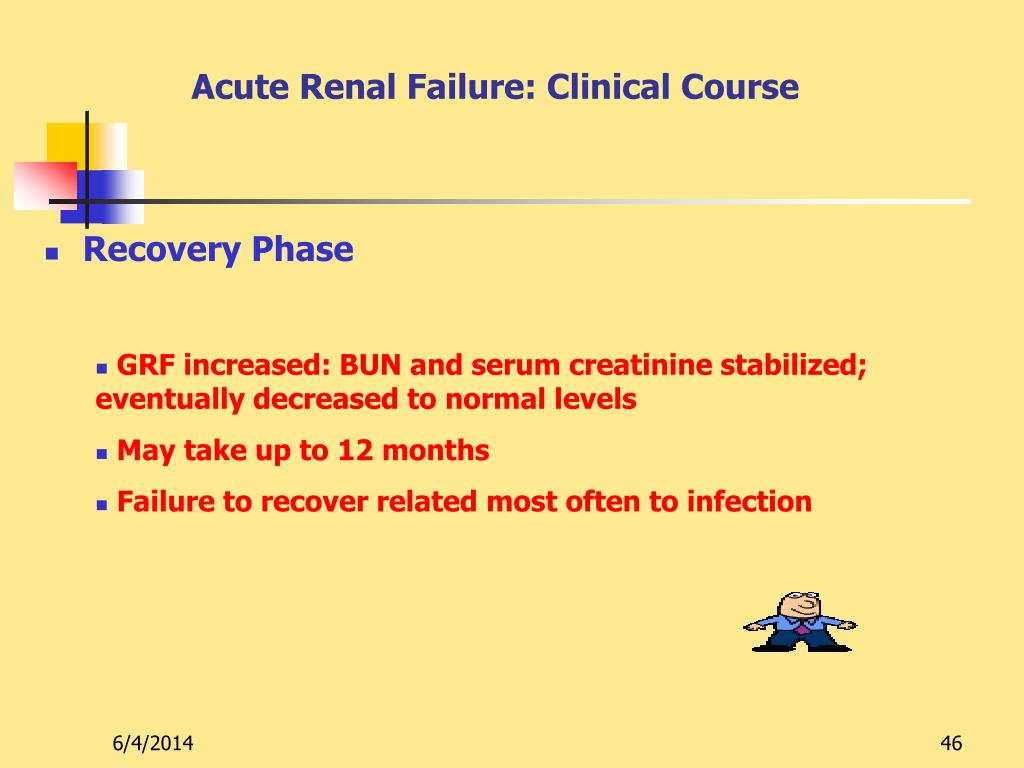PPT Nursing Care of Individual with Genitourinary Disorders Vascular