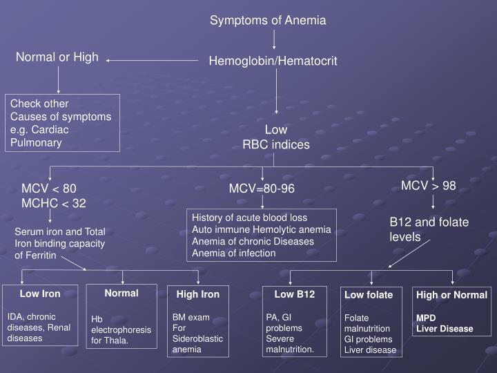 What Causes A Low Hematocrit And Hemoglobin Bingeroutlet