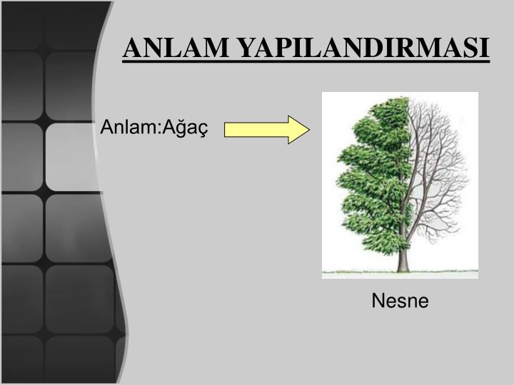 Papatya Bir Nesne Değil Bir Süreçtir Papatya Bir Nesne Değil Bir Süreçtir
