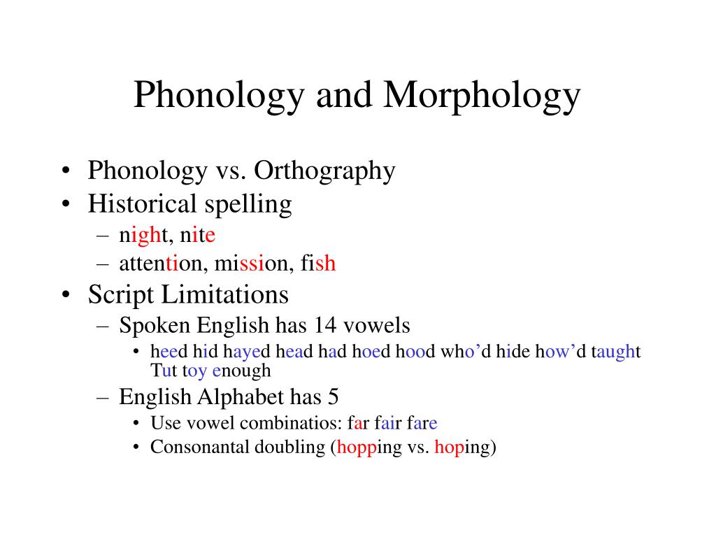 sonority definition phonology sonority definition phonology