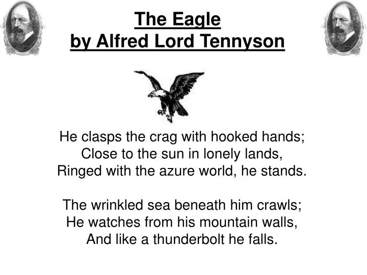 PPT - The Eagle by Alfred Lord Tennyson PowerPoint Presentation, free download - ID:972764