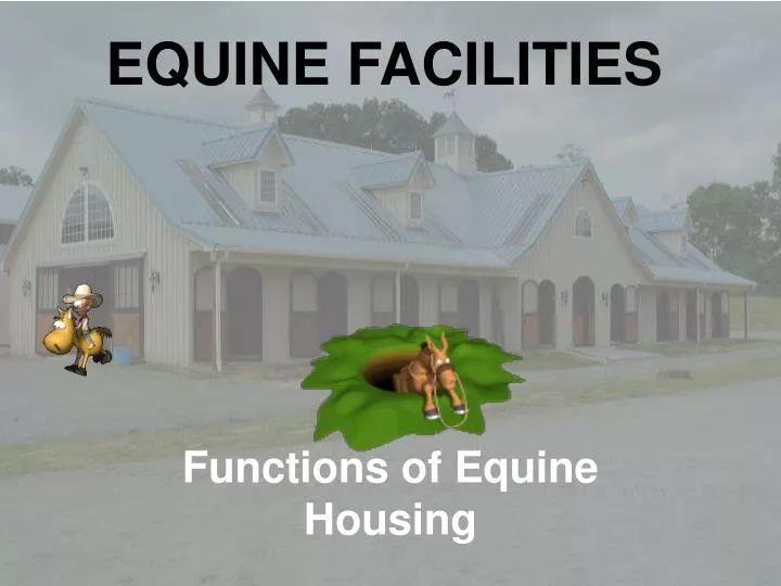 equine facilities n.