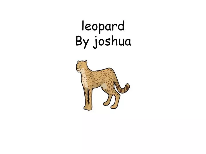 leopard by joshua n.