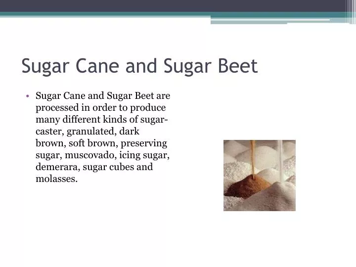 sugar cane and sugar beet n.
