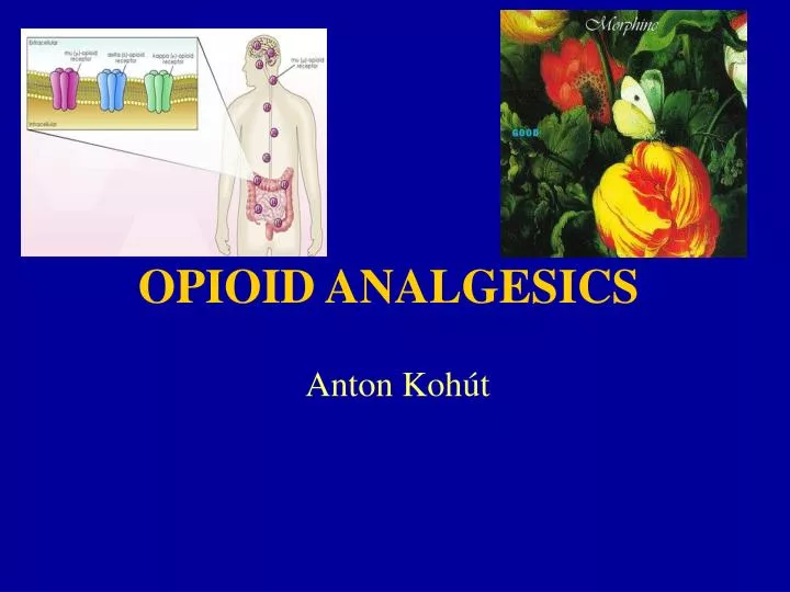 opioid analgesics n.