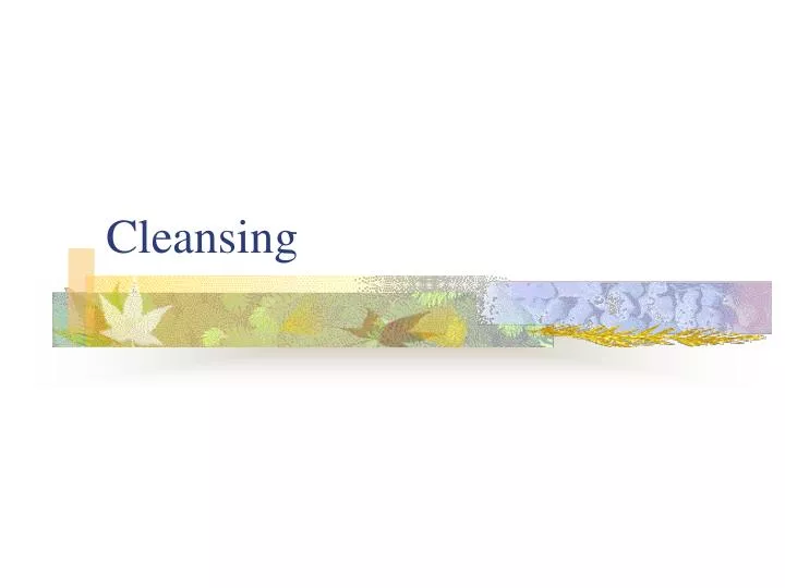 cleansing n.