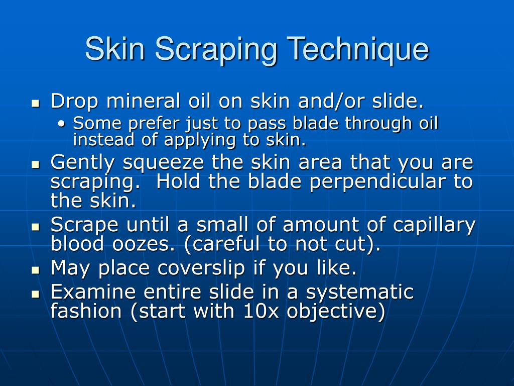 PPT Skin Scrapes and Their Parasitic Friends PowerPoint Presentation