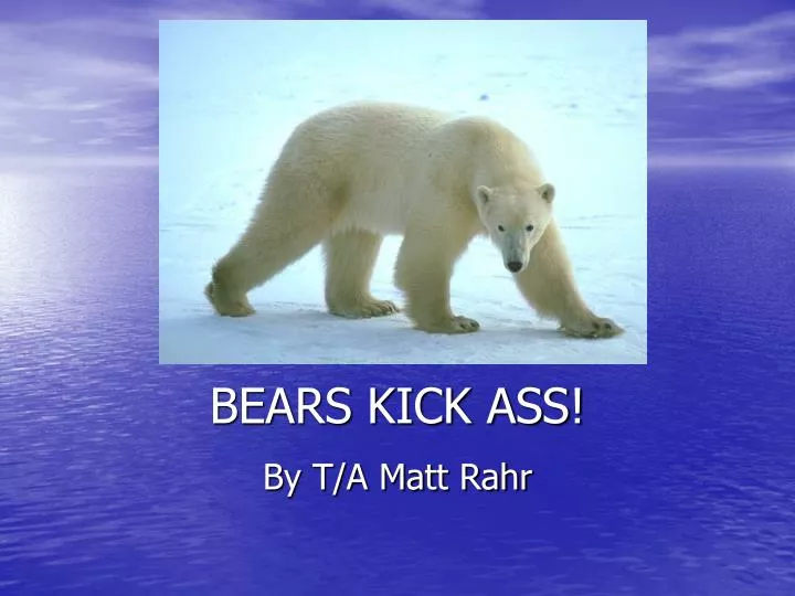 bears kick ass n.