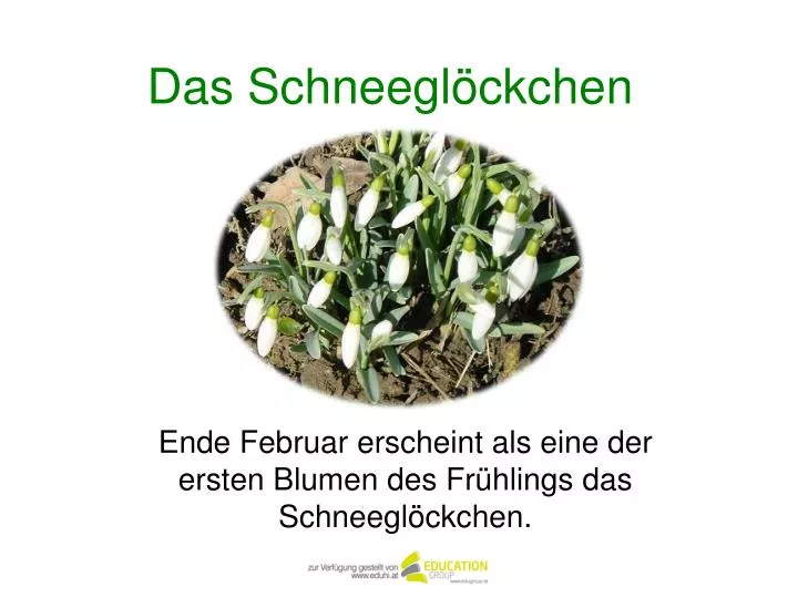 das schneegl ckchen n.