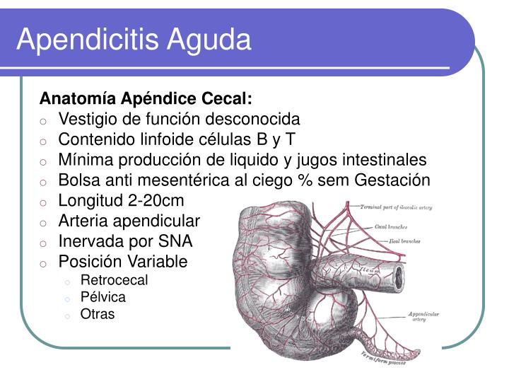 PPT - Apendicitis Aguda PowerPoint Presentation - ID:979550