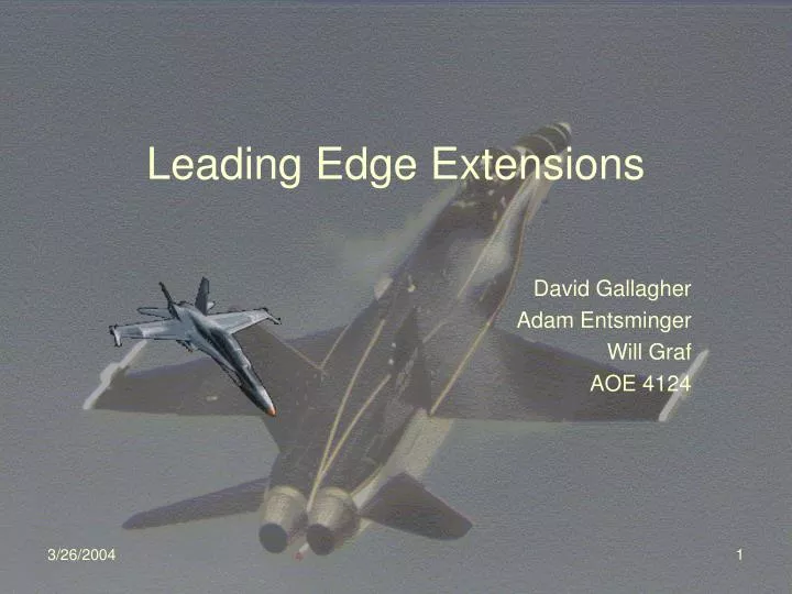 leading edge extensions n.